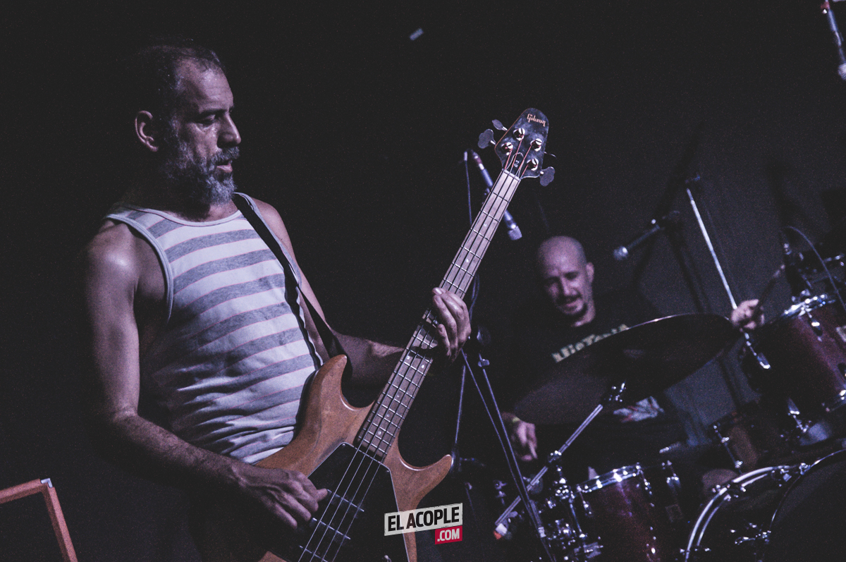 festipulenta-matienzo-26-02-17-02