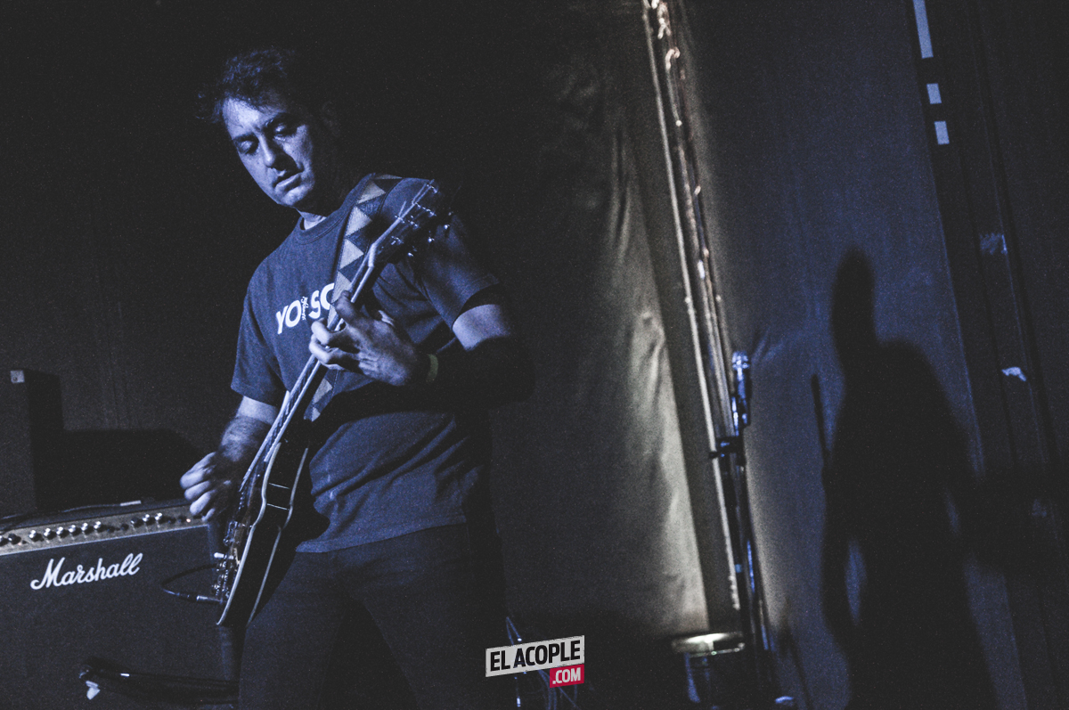 festipulenta-matienzo-26-02-17-04