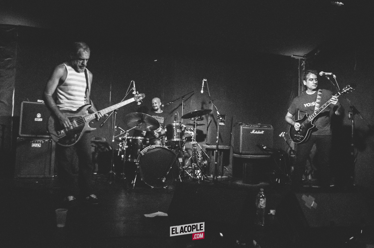 festipulenta-matienzo-26-02-17-05