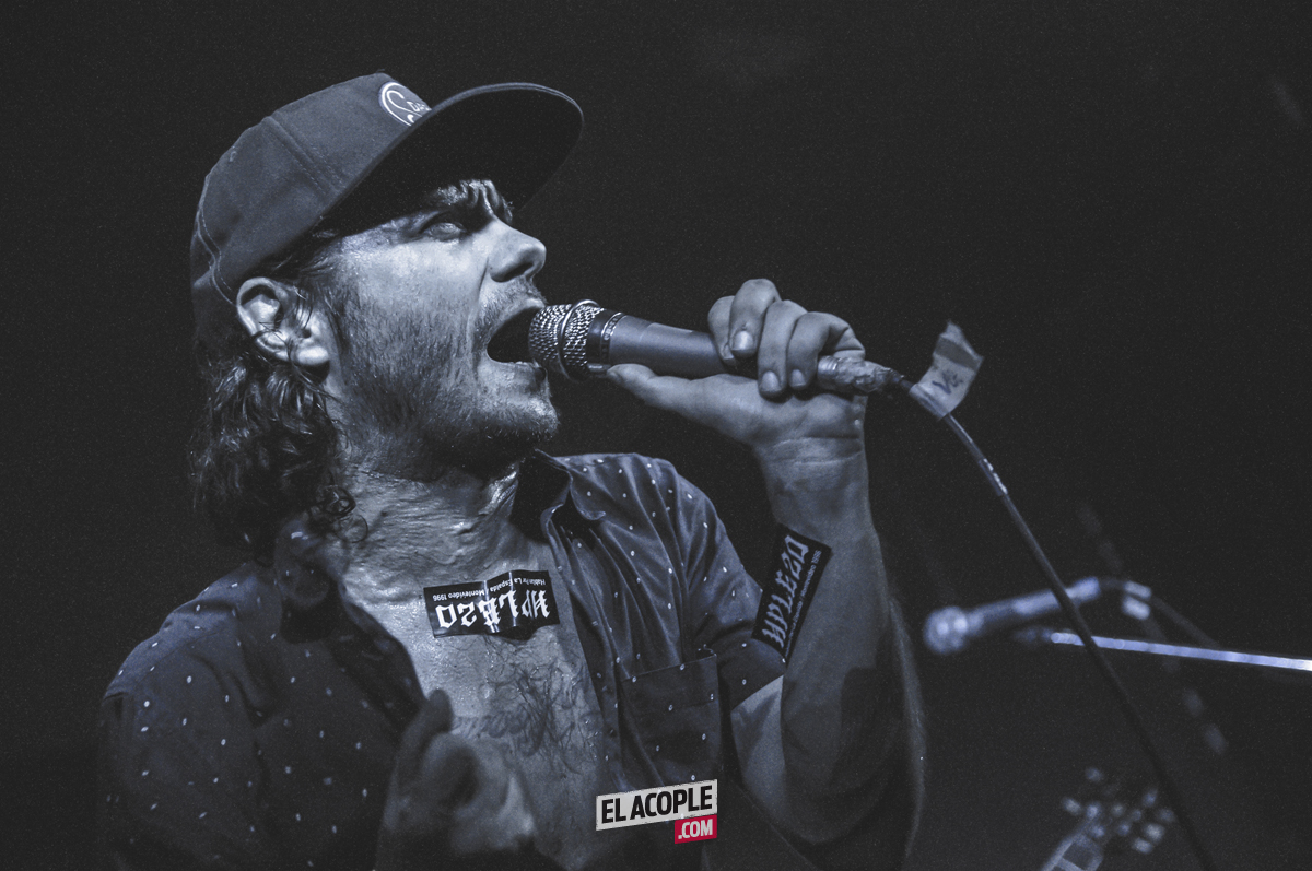 festipulenta-matienzo-26-02-17-07