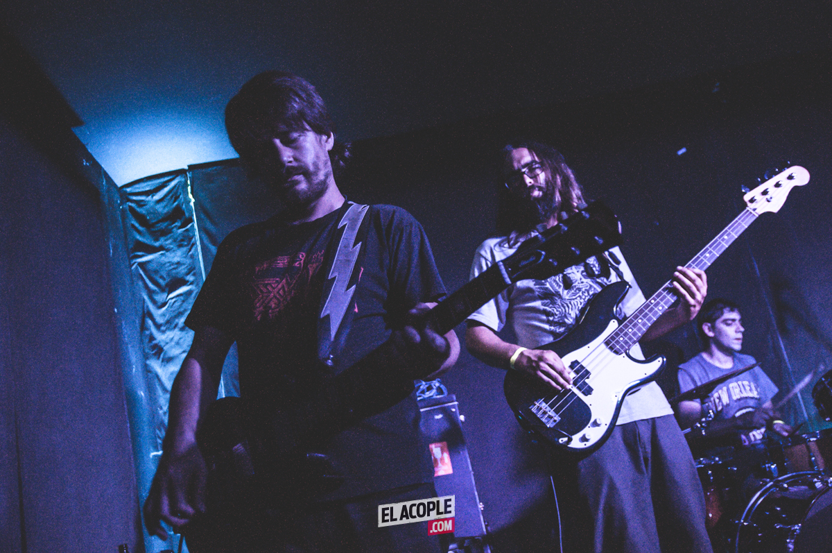 festipulenta-matienzo-26-02-17-08