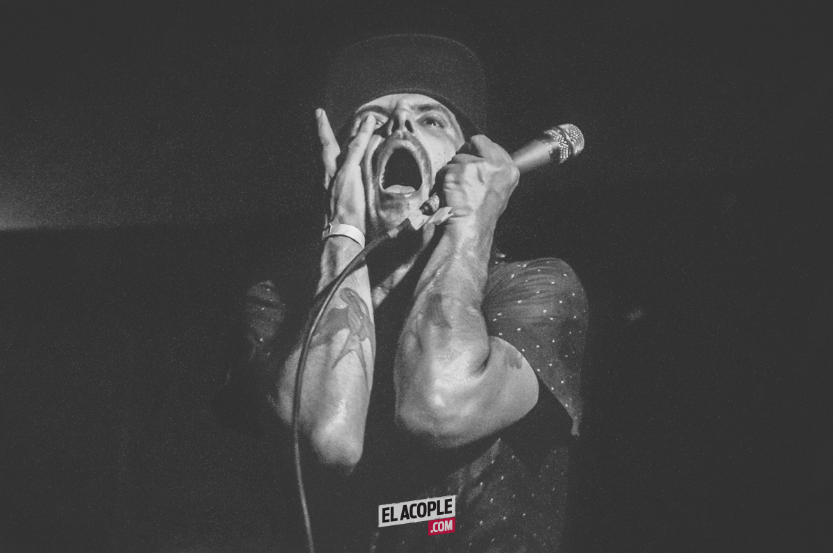 festipulenta-matienzo-26-02-17-09
