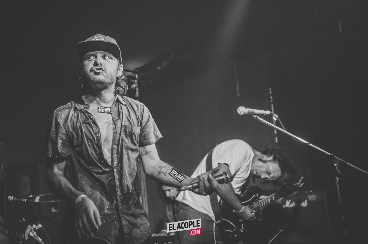 festipulenta-matienzo-26-02-17-10