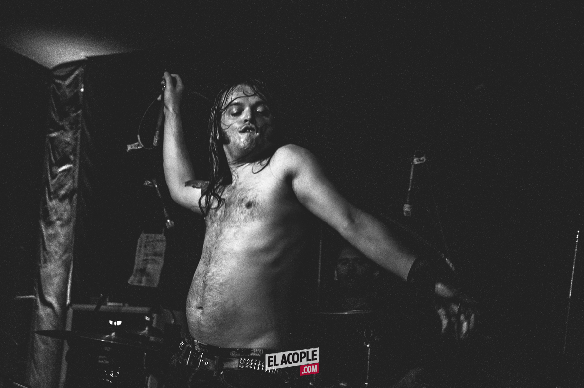festipulenta-matienzo-26-02-17-11