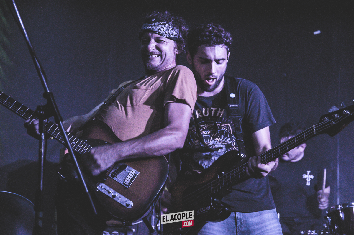 festipulenta-matienzo-26-02-17-12