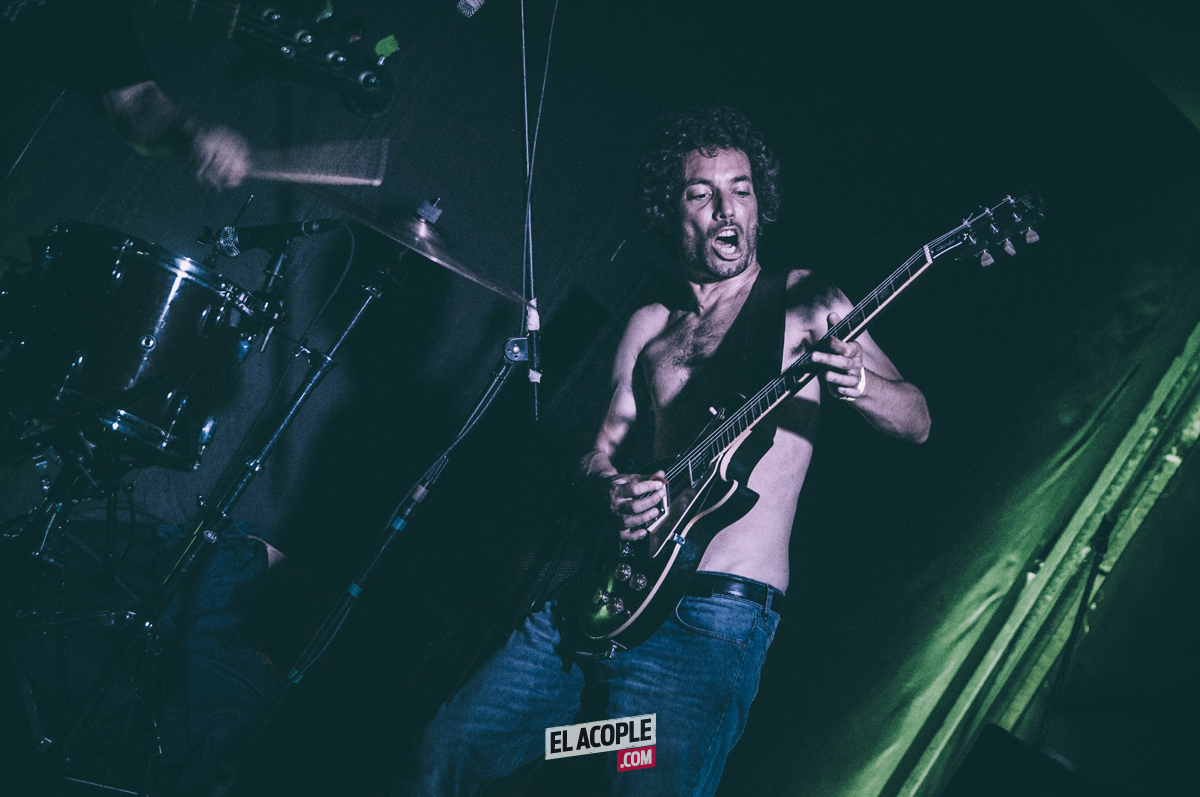 festipulenta-matienzo-26-02-17-13
