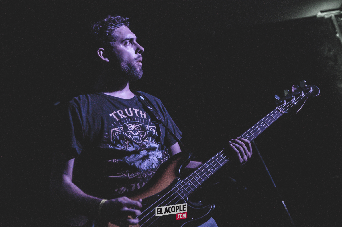 festipulenta-matienzo-26-02-17-14