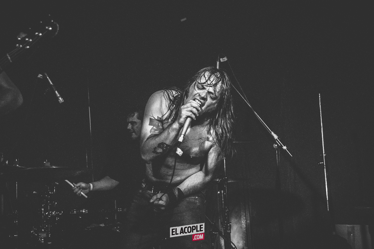 festipulenta-matienzo-26-02-17-15