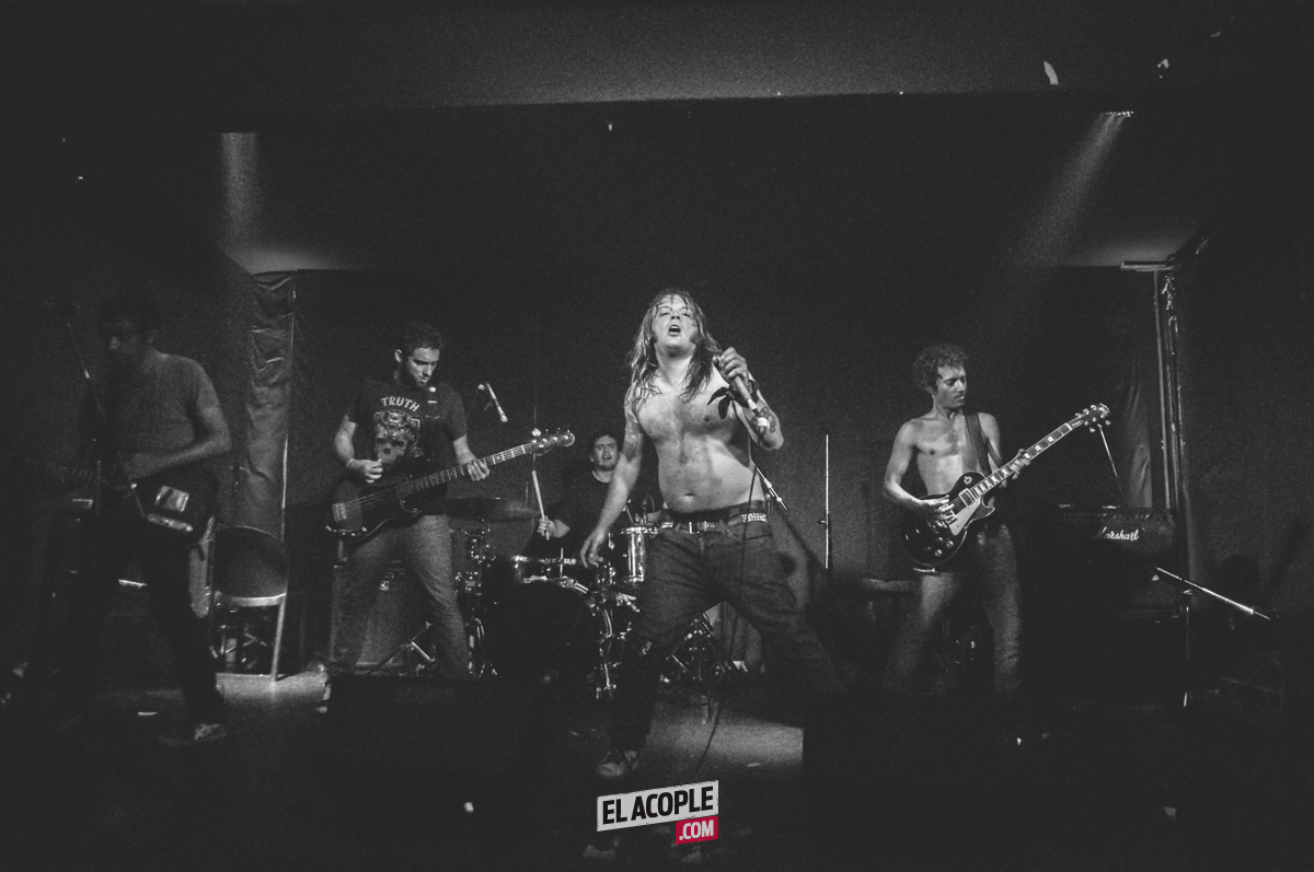 festipulenta-matienzo-26-02-17-16